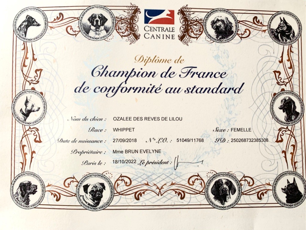 Des Rêves De Lilou - OZalee Championne de France