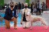  - Le fils d'OZALEE Meilleur Jeune Paris Dog Show 2022