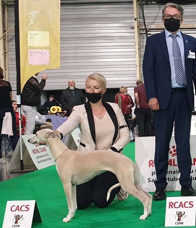 Des Rêves De Lilou - CACS Expo DOUAI Nov 2021 pour OZALEE