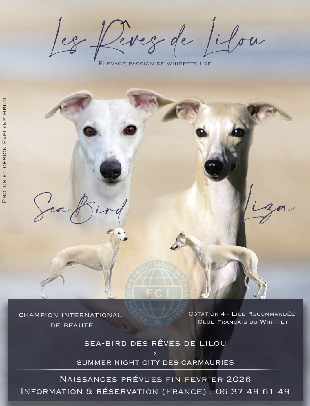 Naissances dernière semaine de février 2026