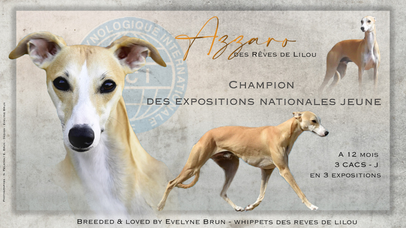 Un nouveau CHAMPION chez les Rêves de Lilou
