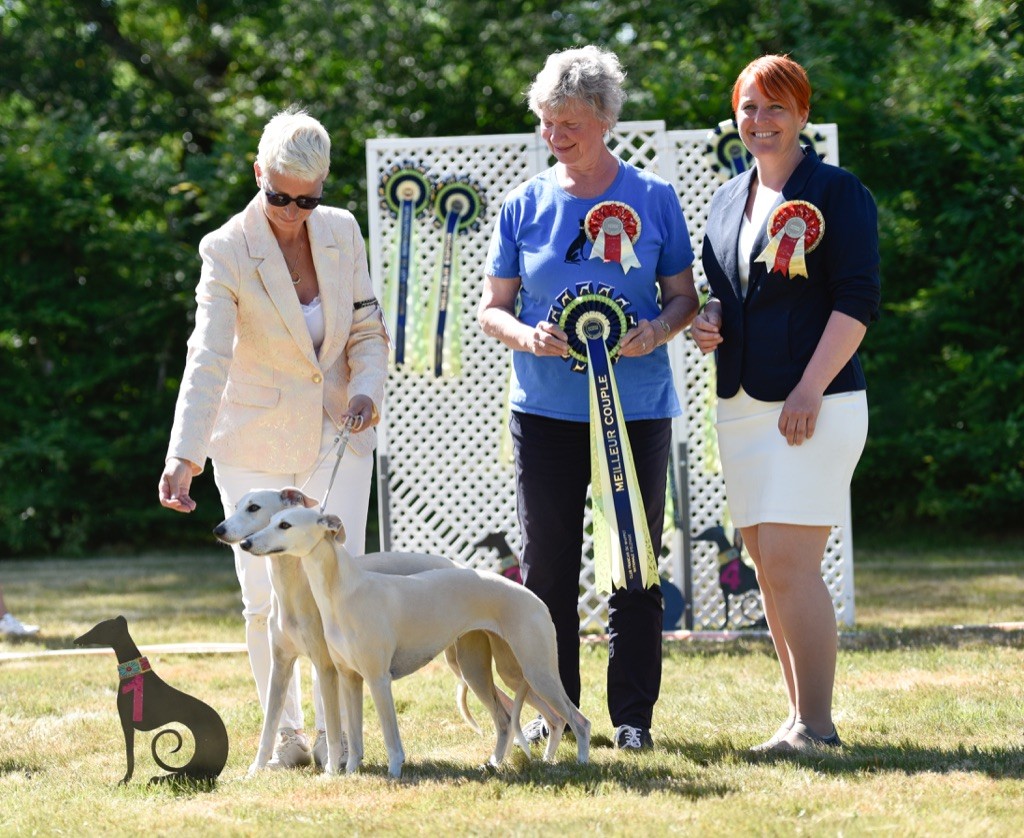 Des Rêves De Lilou - MEILLEUR COUPLE NATIONALE D'ELEVAGE 2022