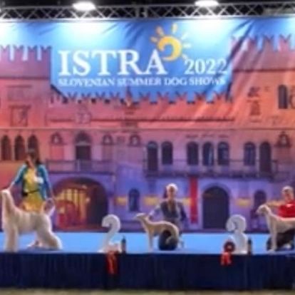 Des Rêves De Lilou - CACIB-CACS-BOB-BOG2 Slovénian Summer Show