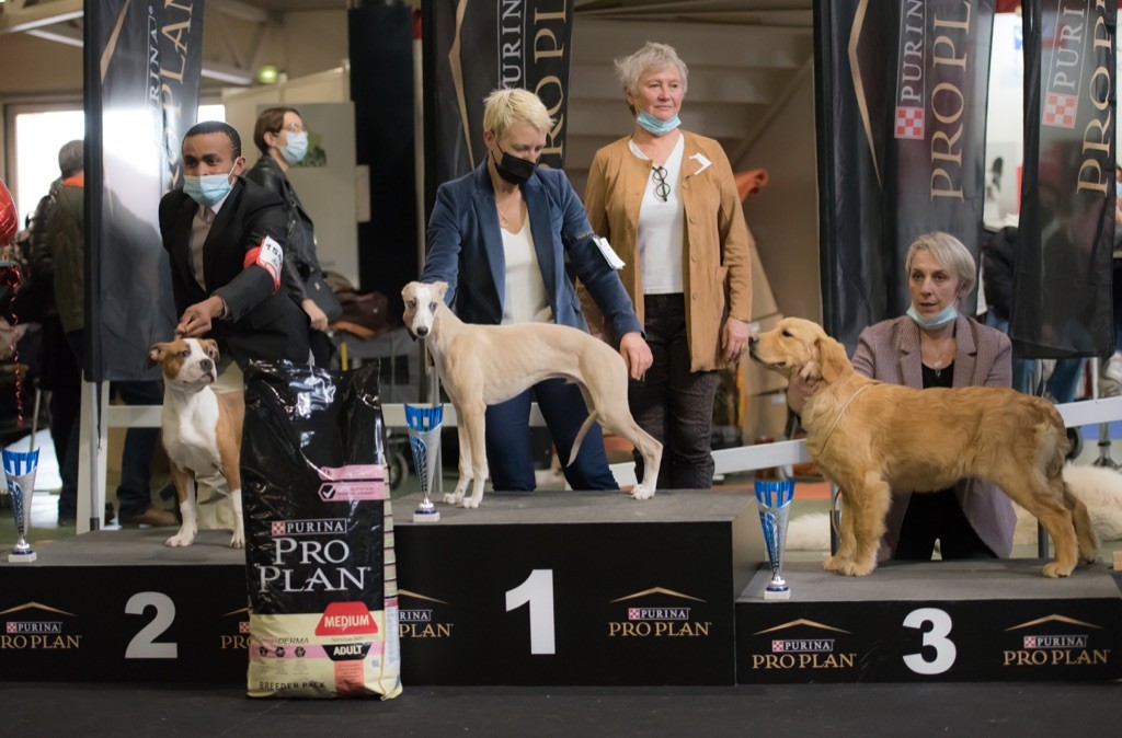 Des Rêves De Lilou - SHELBY des Rêves de Lilou gagne le BIS Baby Bourges 2022