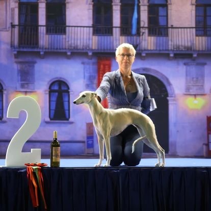 Des Rêves De Lilou - CACIB-CACS-BOB-BOG2 Slovénian Summer Show